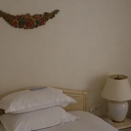 Celestins Thermal & By Vy Hotel Vichy