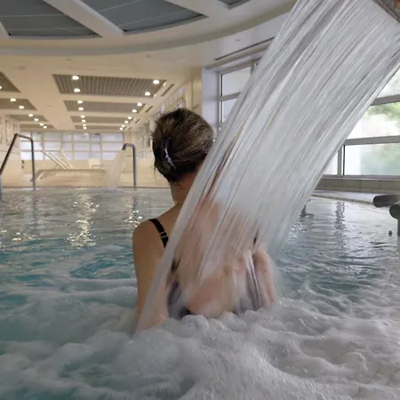 Hotel Celestins Thermal & By Vy 5*